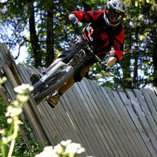 Photo: Marie Lith&eacute;n. Rider: Anton Lith&eacute;n.