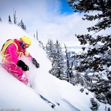 Photo: Kalle Grahn. Rider: St&eacute;phanie Churlet.