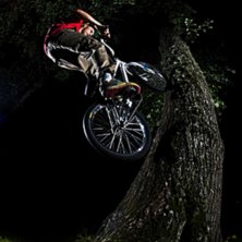Repris i favorit

F&ouml;rstora. Photo: Magnus Karlsson. Rider: Dennis Jonsson.