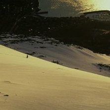 Photo: Johanna Carlsson. Rider: Erik Assum.