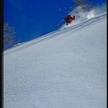 Photo: Henrik Bj&ouml;rkenstam. Rider: Erik Palm.