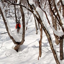 Photo: Adam Hanberger. Rider: Erik Arvidsson.