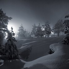 Sn&ouml;l&auml;ggning, december 2008. Photo: Peter Tannebo.