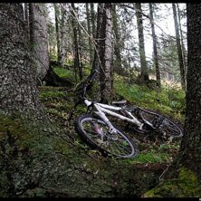 Photo: Mattias Klockar.