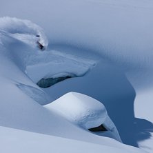 Photo: Anders &Ouml;dman. Rider: Christoffer Granbom.