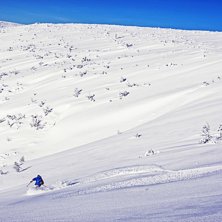 http://www.jonathanbirkemyr.com/
https://www.face. Photo: Jonathan Birkemyr. Rider: Fredrik Malmsten.