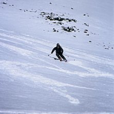 Rider: Nicklas Hansson.