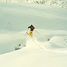 Photo: Fredrik persson. Rider: Henrik Ljung.