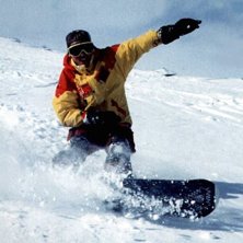Photo: Hans L&ouml;vgren. Rider: Fredrik Ringblom.