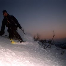 Photo: Sigurd Wilhelm Holien. Rider: Gjermund Rye.