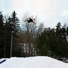 Photo: Ebony. Rider: Gustav Linder.