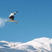 Photo: Tobias Karlsson. Rider: H&aring;kan Carlsson.