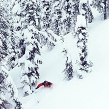 Photo: Shawn Morris. Rider: H&aring;kan Palm.