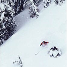 Photo: Shawn Morris. Rider: H&aring;kan Plam.