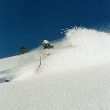 Photo: Philip Hammarsten. Rider: H&aring;kan Walden.