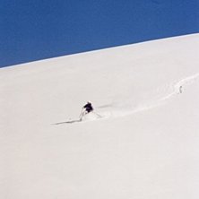Photo: Philip Hammarsten. Rider: H&aring;kan Walden.