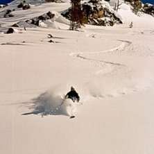 Photo: Philip Hammarsten. Rider: H&aring;kan Walden.
