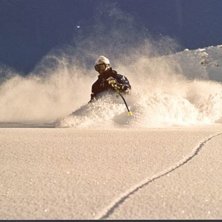 Photo: Philip Hammarsten. Rider: H&aring;kan Walden.