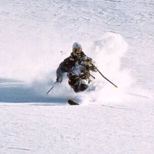 Photo: Philip Hammarsten. Rider: H&aring;kan Walden.