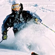 Photo: Philip Hammarsten. Rider: H&aring;kan Walden.