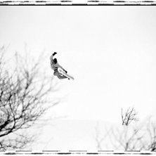 Photo: Eivind Nemeth. Rider: Heming Hage.