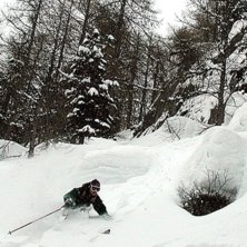 Photo: Johan Ekl&ouml;v. Rider: Henrik Persson.