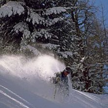 Photo: Alexander Klun. Rider: Henrik Sj&ouml;blom.