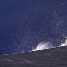 Photo: Fredrik Schenholm. Rider: Jacob dansk.