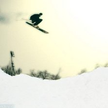 Photo: Tomas Tengn&eacute;r. Rider: Jacob Wilhemsson.