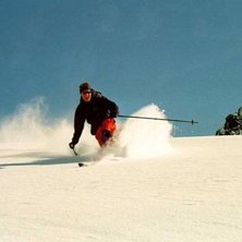 Photo: Ola Hansson. Rider: Jens Bj&ouml;rck.