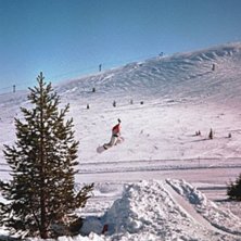 Photo: Jonas K&aring;gstr&ouml;m. Rider: Jerry Lindeborg.