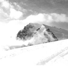 Photo: Johan Liljegren. Rider: Valleblanche.
