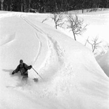 Photo: Magnus H&aring;kansson. Rider: Johan Yveborg.
