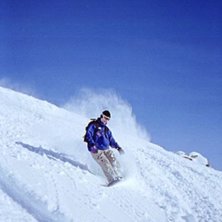 Photo: Magnus H&aring;kansson. Rider: Johan Yveborg.
