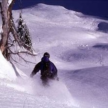 Photo: Henrik Lindstr&ouml;m. Rider: John Rehnberg.