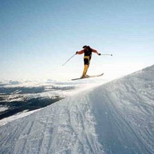 Photo: Tess Jacobson. Rider: Jonas Hagstr&ouml;mer.