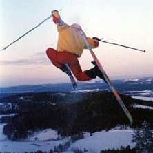 Photo: Jom Eriksson. Rider: J&ouml;rgen Eriksson.
