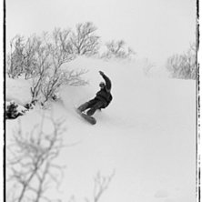 Photo: Eivind Nemeth. Rider: Kai Arne Lien.