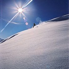 Photo: Philip Hammarsten. Rider: Kathrine Hansen.