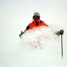 Rider: Kristofer Liljeblad.