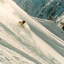 Photo: Johan &Ouml;hlund. Rider: Lasse Andersson.