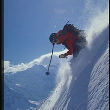 Photo: Henrik Bj&ouml;rkenstam. Rider: M&aring;rten Eriksson.