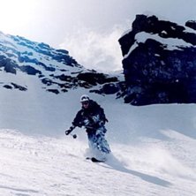 Photo: Quintin. Rider: Mats Wigle.