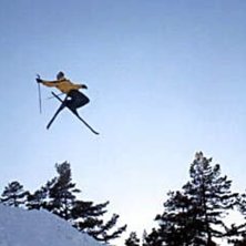 Photo: Martin Ekman. Rider: Micael Olofsson.