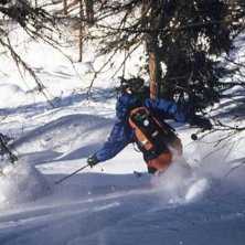 Photo: Martin P&aring;lsson. Rider: Niclas Eliasson.