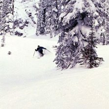 Photo: Victor Zetterquist. Rider: Niklas Adamsson.