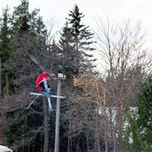 Photo: Ebony. Rider: Patrik Nordholm.