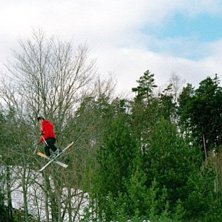Photo: Ebony. Rider: Patrik Nordholm.