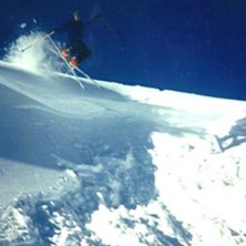 Rider: Peter Ekstr&ouml;m.
