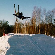 Photo: Louise Gryfelt. Rider: Petter Lidenberg.